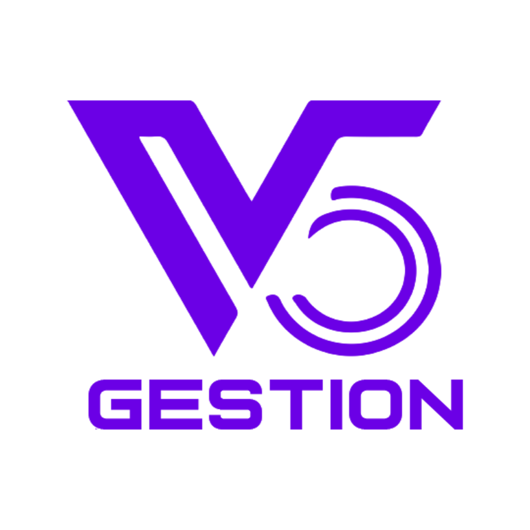 v5gestion.com